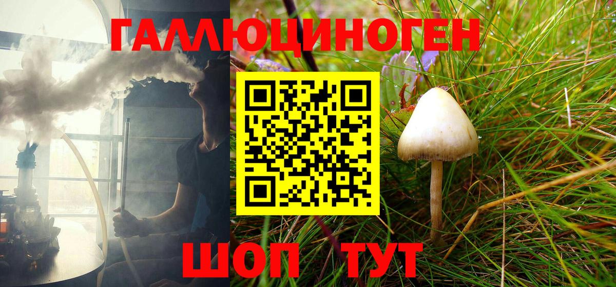 Псилоцибиновые грибы Psilocybe Ростов Великий