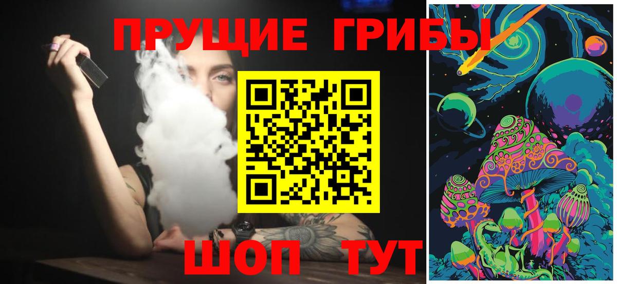 Галлюциногенные грибы Psilocybe  Галлюциногенные грибы Psilocybe  Ростов Великий  Вход с VPN 